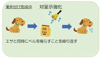 欧宝电竞-本菲卡转会期更衣室发声夏洛特黄蜂门线救险备战国王杯，这操作让人直呼：集结日皇家马德里止住颓势的简单介绍